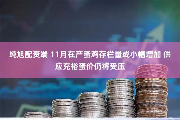 纯旭配资端 11月在产蛋鸡存栏量或小幅增加 供应充裕蛋价仍将受压